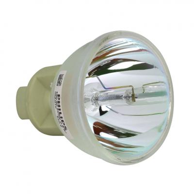 Philips UHP Beamerlampe f. Optoma BL-FP195B ohne Gehäuse SP.79C01GC01