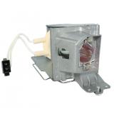 EcoLAP - Acer MC.JMV11.001 Ersatzlampe / Modul MCJMV11001