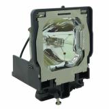 EcoLAP - Sanyo POA-LMP109 Ersatzlampe