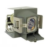 EcoLAP - Viewsonic RLC-071 Ersatzlampe