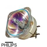 Philips UHP Beamerlampe f. BenQ 5J.J8805.001 ohne Gehäuse 5J.JA705.001