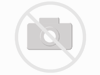 Philips 13630 EWF 24V-200W GX5,3