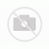 O-3623 220V 20W E27
