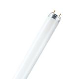 Osram Leuchtstoffröhre T8 Fluora 120cm 36W/77 G13 1400lm Pflanzenwachstum